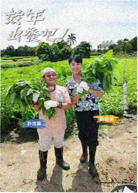 新西游记 韩综在线观看